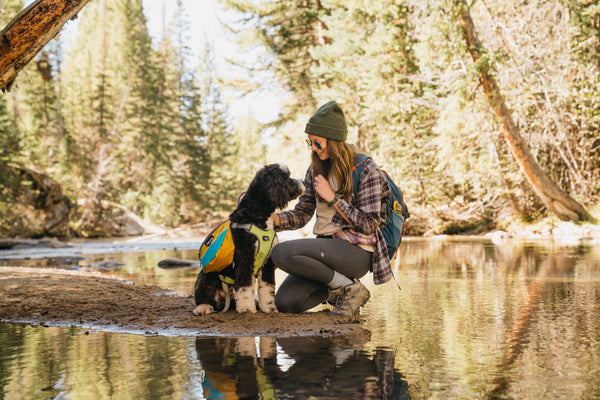 The Ultimate Guide to Pet Health and Safety When Hiking
