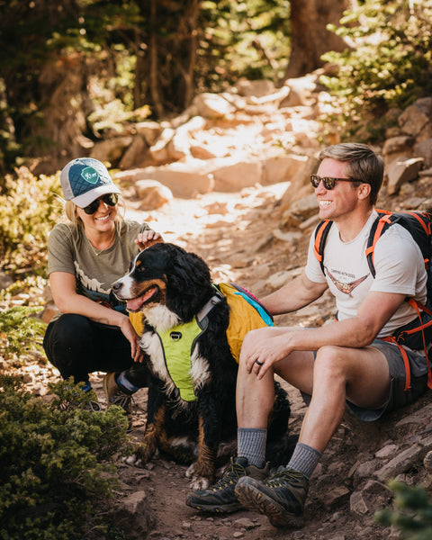 10-Must Have Dog Gear Items for Spring Outdoor Adventures
