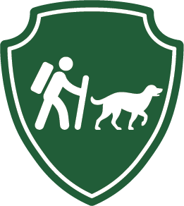 Camping With Dogs