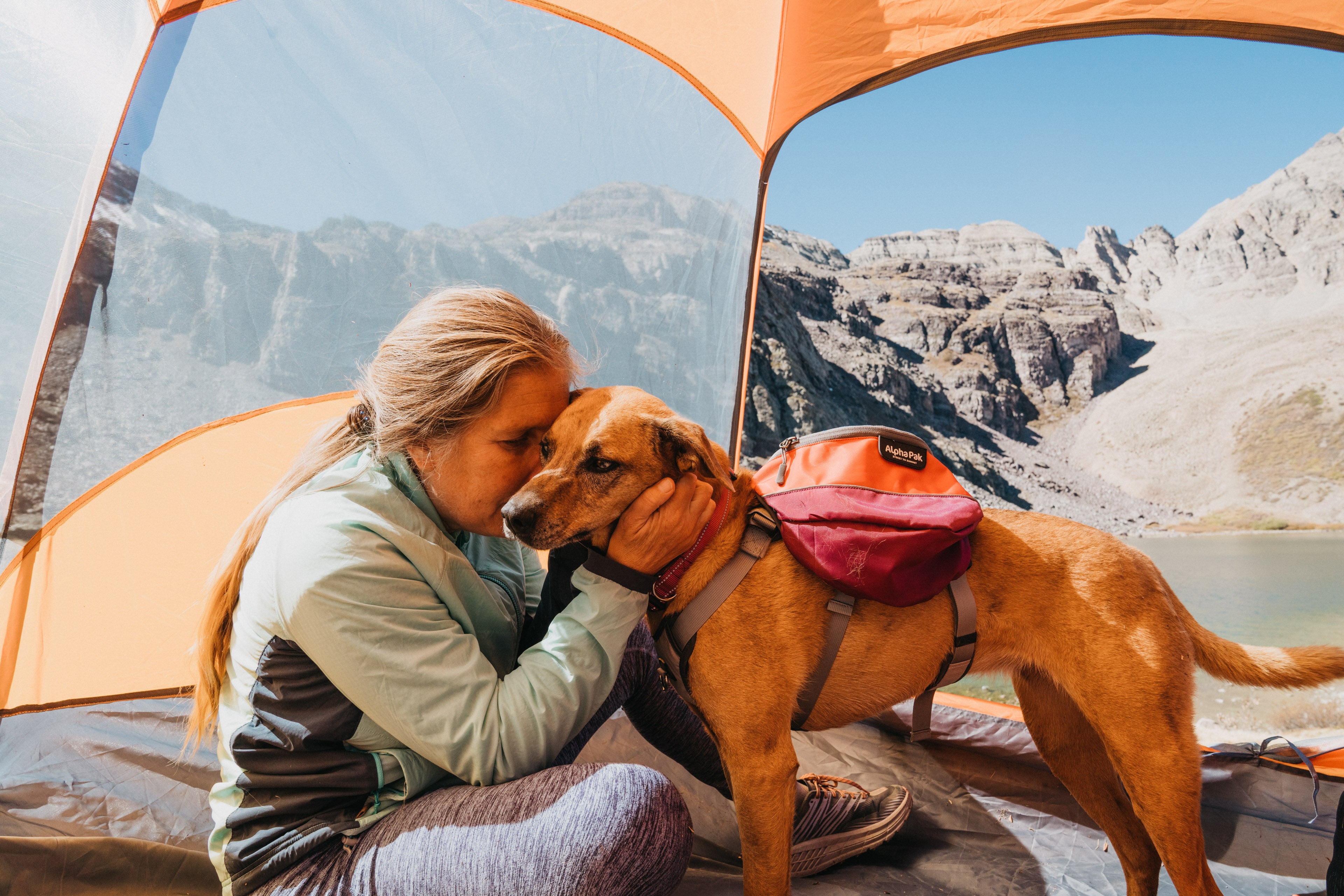 How to Keep Your Dog Safe on Hikes
