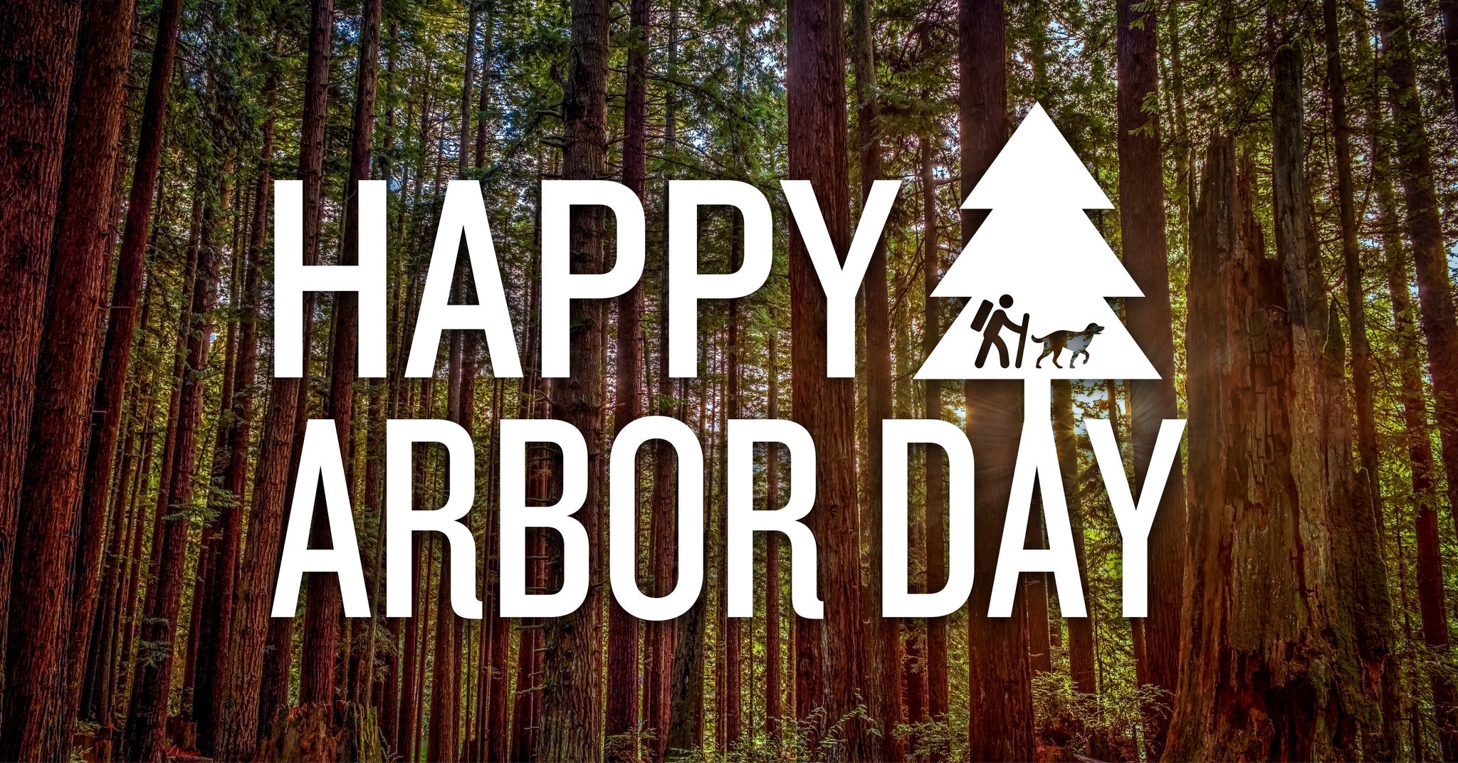 Arbor Day: Why Planting a Tree Matters
