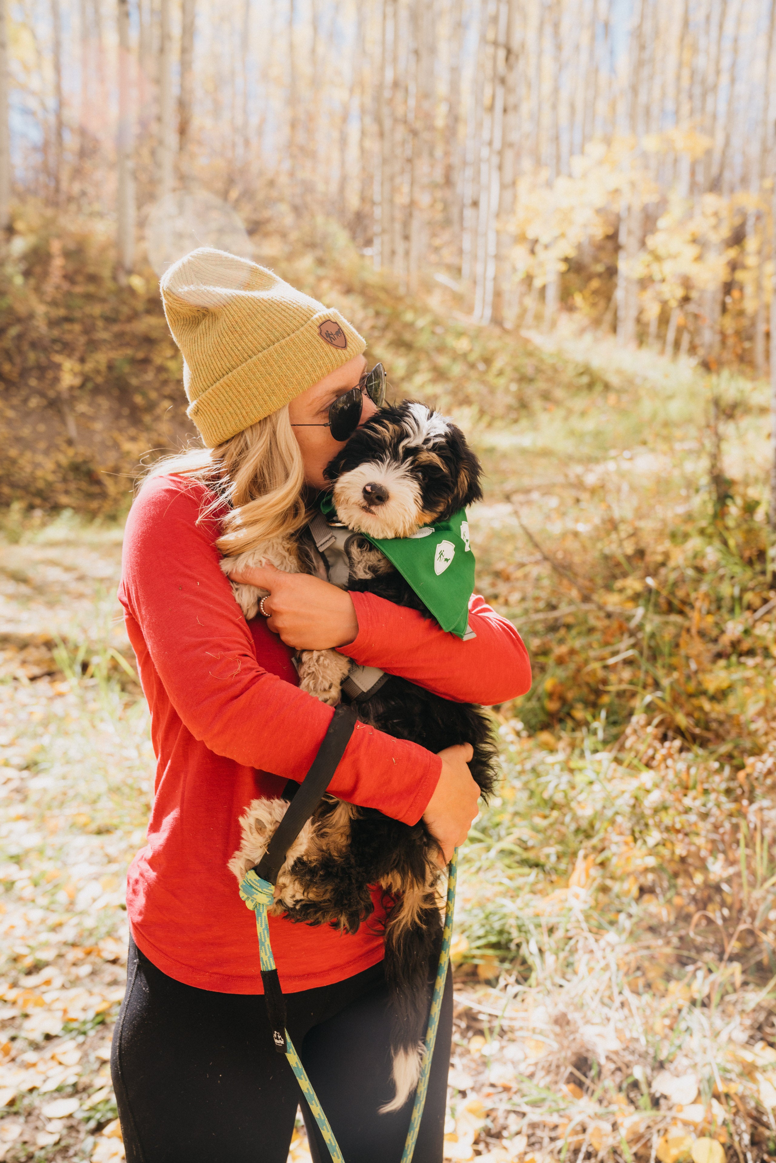 How to Hike in the Rain With Your Dog