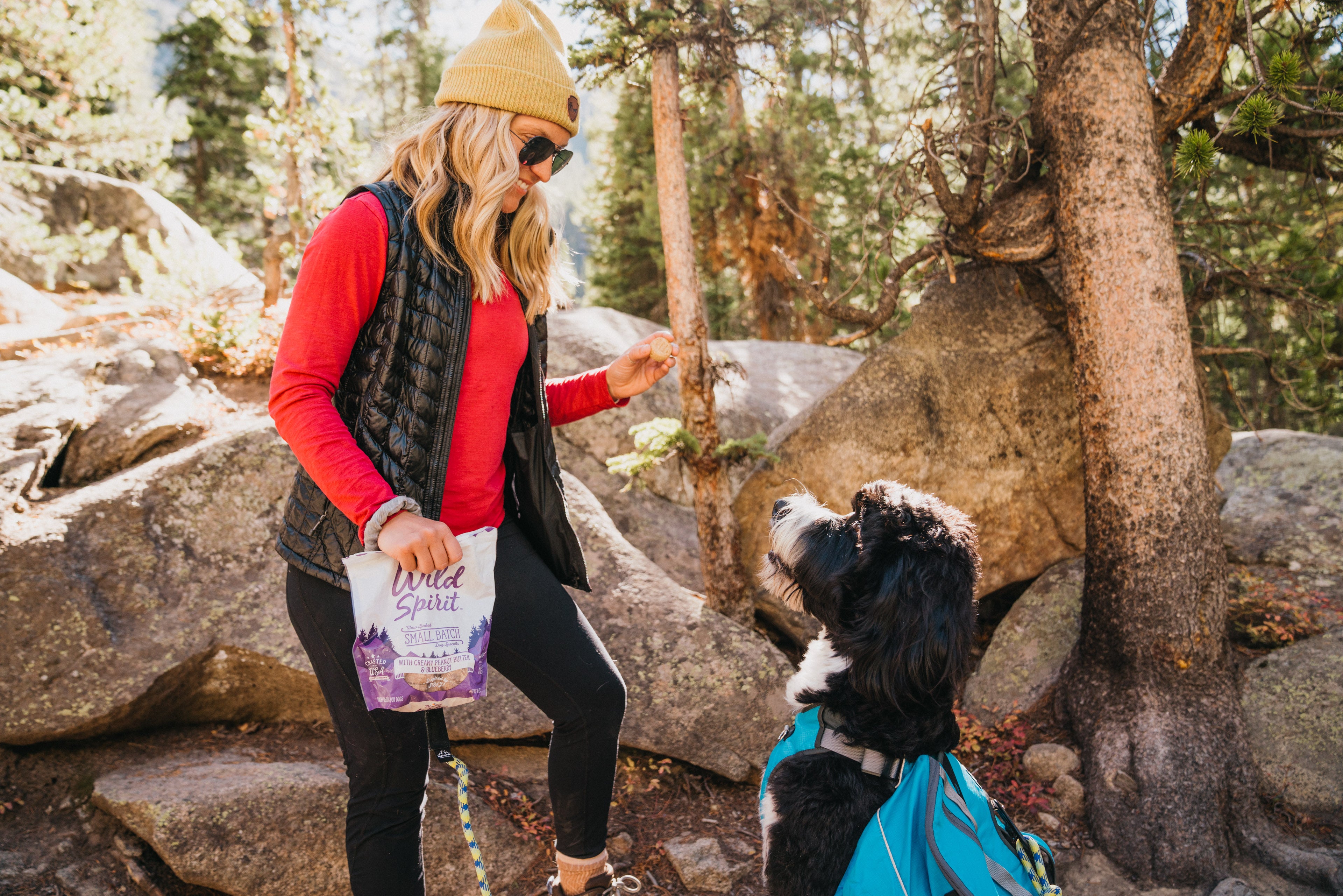 How to Safely Trick-or-Treat With Your Dog on Halloween - Camping With Dogs