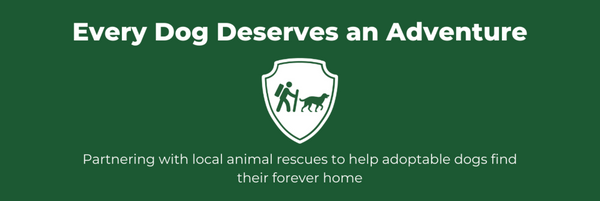 “Every Dog Deserves An Adventure” Camping With Dogs Animal Rescue Partnership