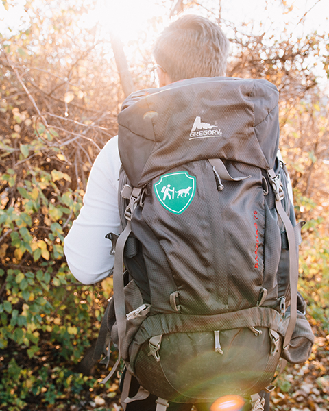 Camping With Dogs Logo Patch